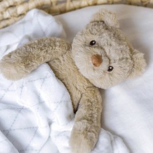 瑞典 Teddykompaniet Sven奶茶熊毯子禮盒