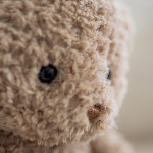 瑞典 Teddykompaniet 復古泰迪熊